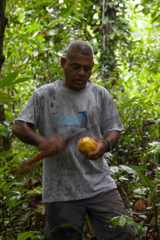 Auf dem Weg zum Badesee zeigt uns Bobo was der Urwald so zu bieten hat. Hier: frischer Kakao